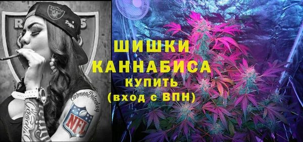 Альфа ПВП Лиски