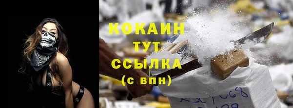 Альфа ПВП Лагань
