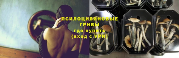Альфа ПВП Лиски
