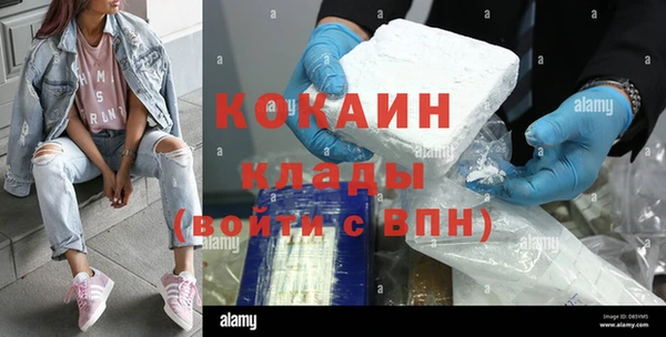 Альфа ПВП Лагань