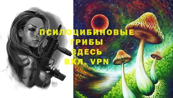 Альфа ПВП Лиски